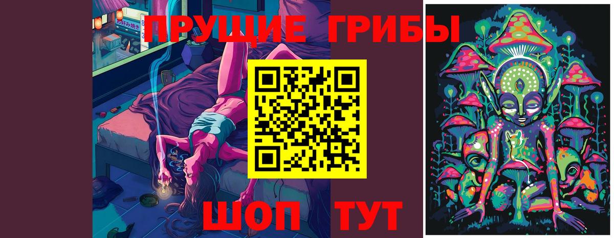 Псилоцибиновые грибы прущие грибы  Вход с VPN  Новодвинск 