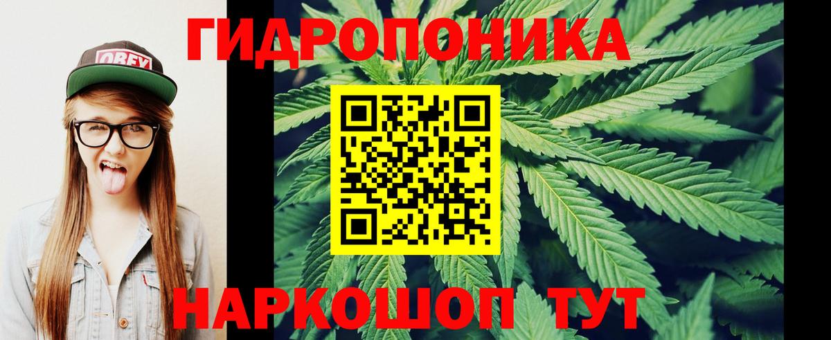 Каннабис гибрид  Новодвинск  Канабис White Widow  Бошки марихуана THC 21% 