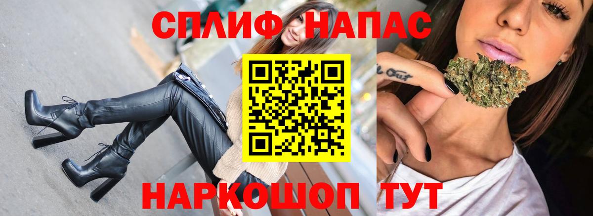 Каннабис план Новодвинск